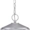 Homeroots 13 x 8 x 8 in. Phoenix 1-Light Brushed Silver Hanging Light 397981 - alternate 4